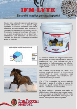 IFM LYTE - Italfiocchi