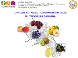 Il valore nutraceutico di prodotti della frutticoltura campana