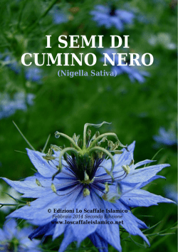 I SEMI DI CUMINO NERO (Nigella Sativa)