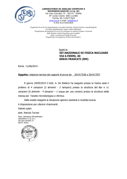 ICQ Relazione Tecnica - Laboratori Nazionali di Frascati