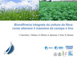 Ecomondo – Zaccheria