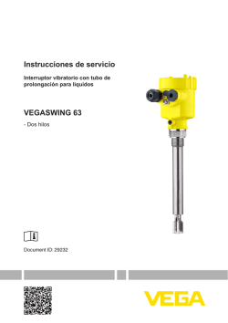 Instrucciones de servicio - VEGASWING 63 -
