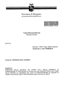 ii iiiii i i illiililili I - Determinazioni