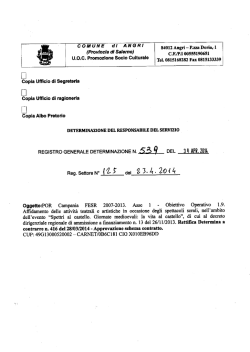 Determina n.539-2014-Affidamento delle attività