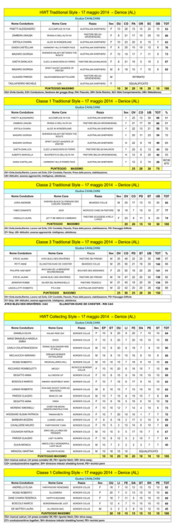HWT Traditional Style - 17 maggio 2014 &ndash; Denice (AL) Classe