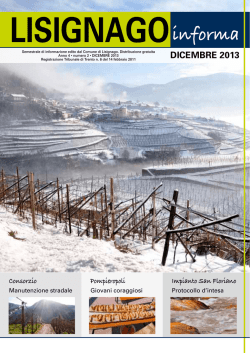 DICEMBRE 2013 - Comune di Lisignago