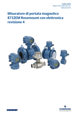 Misuratore di portata magnetico 8732EM Rosemount con elettronica
