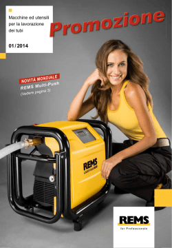 REMS 01/2014 - Di Emidio Srl