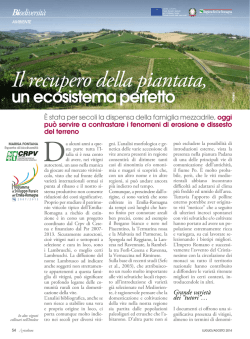 Il recupero della piantata, un ecosistema perfetto