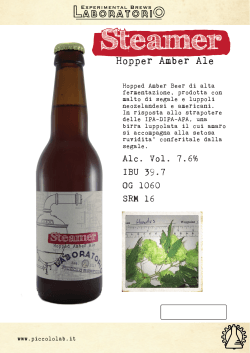 Hopper Amber Ale