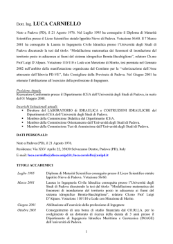 Dott. Ing. LUCA CARNIELLO - ingegneria civile edile ed ambientale