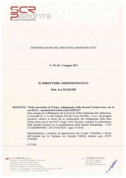 Determinazione n. 101 del 13/05/2014 - SCR