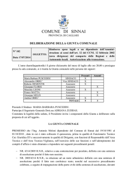 102 copia conforme - Comune di Sinnai