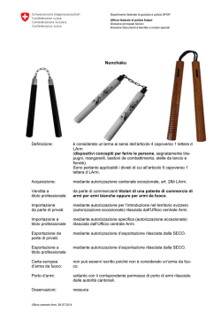 Nunchaku