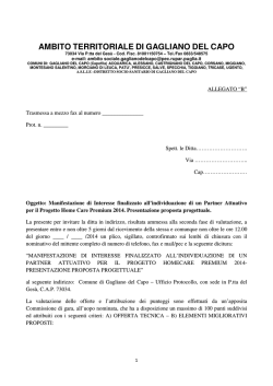 HOME CARE ALLEGATO B