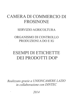 Esempi etichettatura - CCIAA di Frosinone