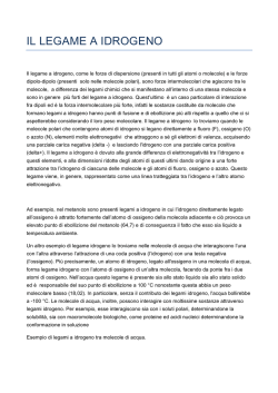 IL LEGAME A IDROGENO - E