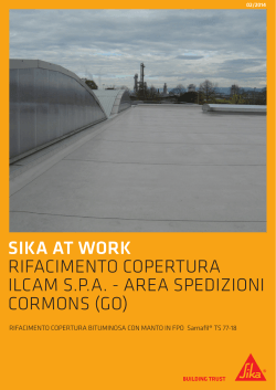[PDF] Sika at Work ILCAM.indd