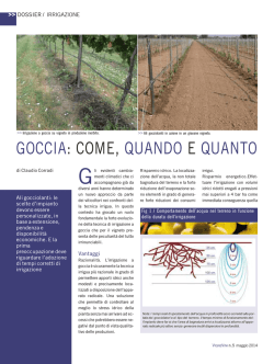 GOCCIA: COME, QUANDO E QUANTO