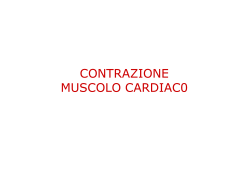 Meccanica cardiaca OTTOBRE 2014