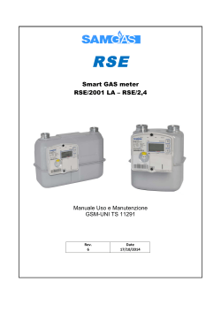 RSE 2001 - 2,4 GSM Operating and Maintenance Manual