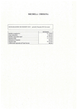 Dichiarazione dei redditi e stato patrimoniale 2013