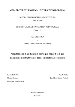 Documento PDF - AMS Tesi di Laurea
