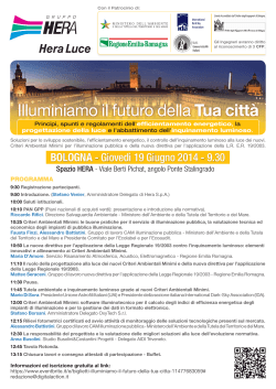 Convegno di HERA Luce - Bologna 19 giugno 2014