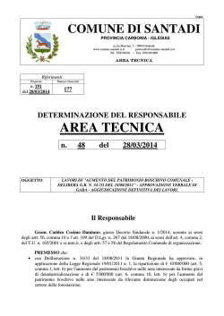 Documento in input_determine