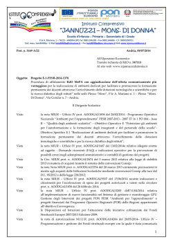 Disciplinare di gara RdO MePA FESR E1