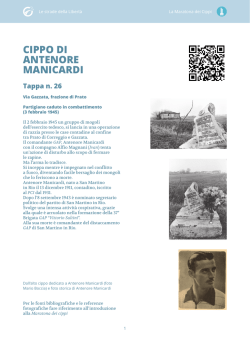 CIPPO DI ANTENORE MANICARDI