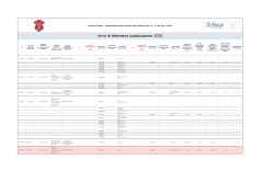 Dati Appalti 2013 - Comune di Modica in formato pdf per l