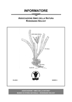 Informatore n&deg;4 - Museo di Storia Naturale di Rosignano