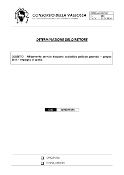 determinazione del direttore