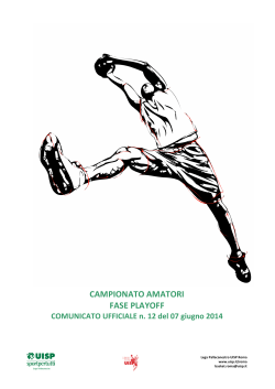 Comunicato n° 12 Campionato Amatori 2013_14
