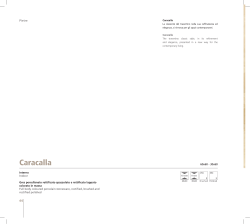 design - Cerqua sas di Cerqua Bonaventura