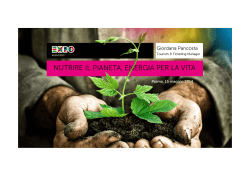 Intervento - Turismo / Comune di Parma