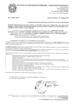 iSTRUZIONE SUPERIORE “CHINl-MICHELANGELO”