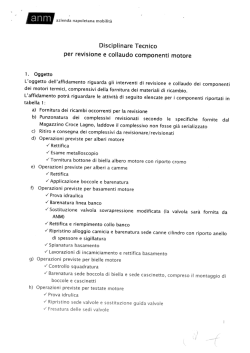 Disciplinare Tecnico
