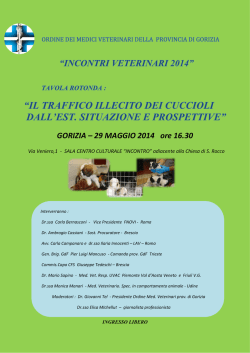 GORIZIA &ndash; 29 MAGGIO 2014 ore 16.30
