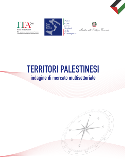 Territori Palestinesi – Indagine di mercato multisettoriale