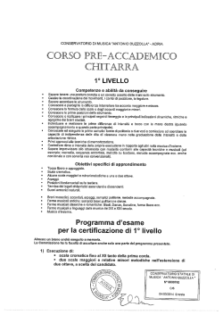 Chitarra P.A.