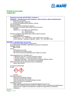 Scheda di sicurezza CABLEJET
