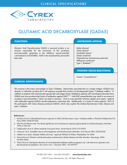 GLUTAMIC ACID DECARBOXYLASE (GAD65)