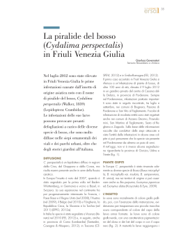 La piralide del bosso (Cydalima perspectalis) in Friuli Venezia Giulia