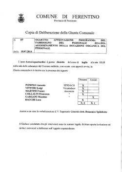 2014 bilancio DGC 97 piano fabbisogno personale