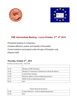 FBE Intermediate Meeting - Lucca October 2 4 2014