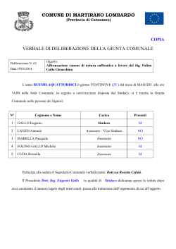 comune di martirano lombardo