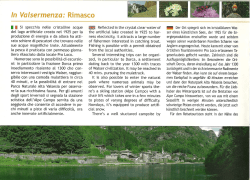 In Valsermenza: Rimasco - areeprotettevallesesia