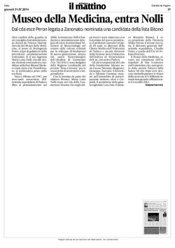 Il Mattino 31/07/2014